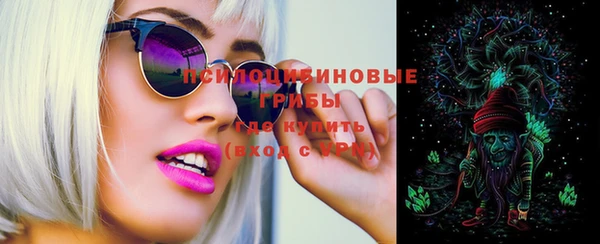 амф Елизово