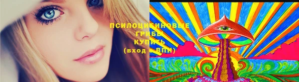 гашиш Заводоуковск