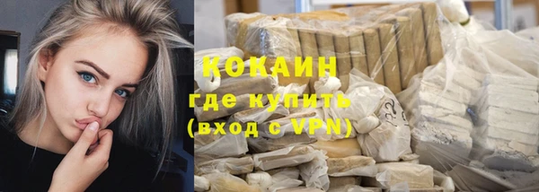амф Елизово